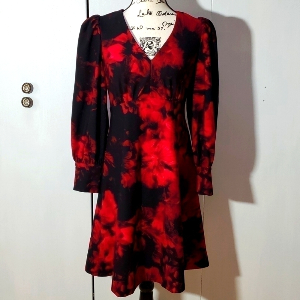 Calvin Klein- Womens Black/RED Floral puffed sleeves Dress Sz.4